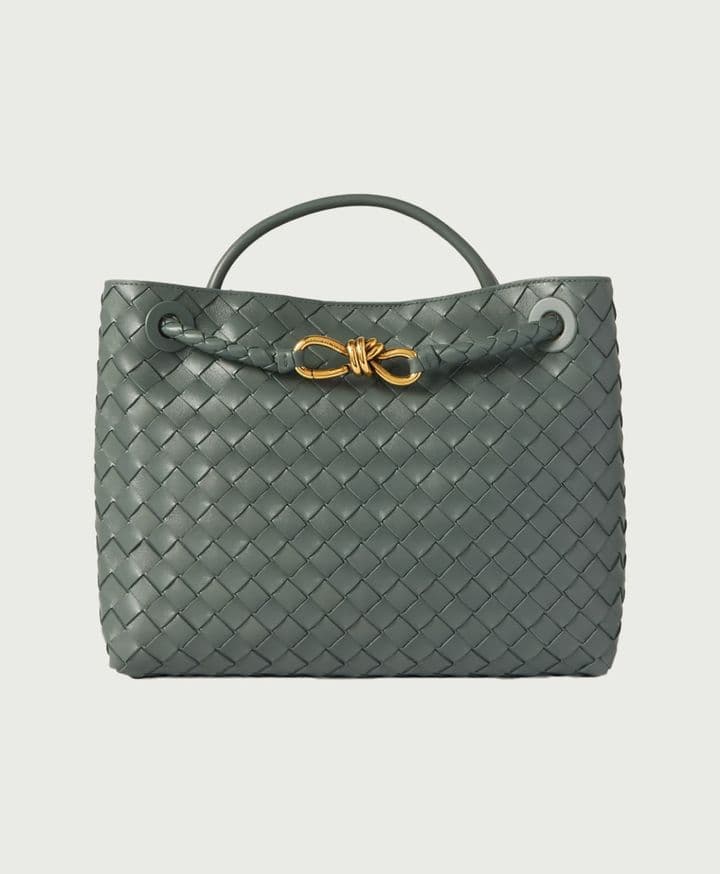 Bottega Veneta Andiamo Medium Leather Tote