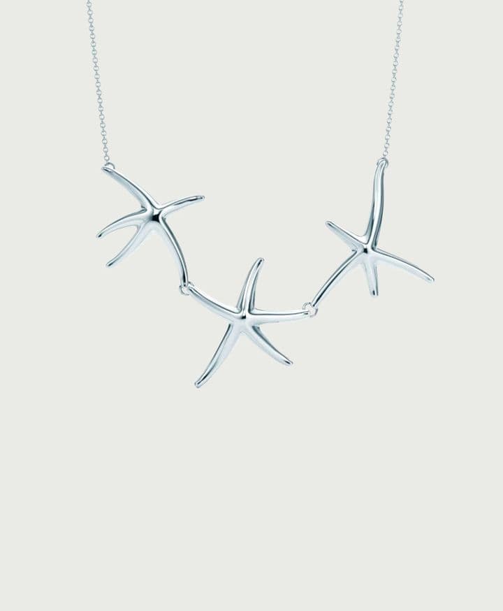 Starfish Necklace