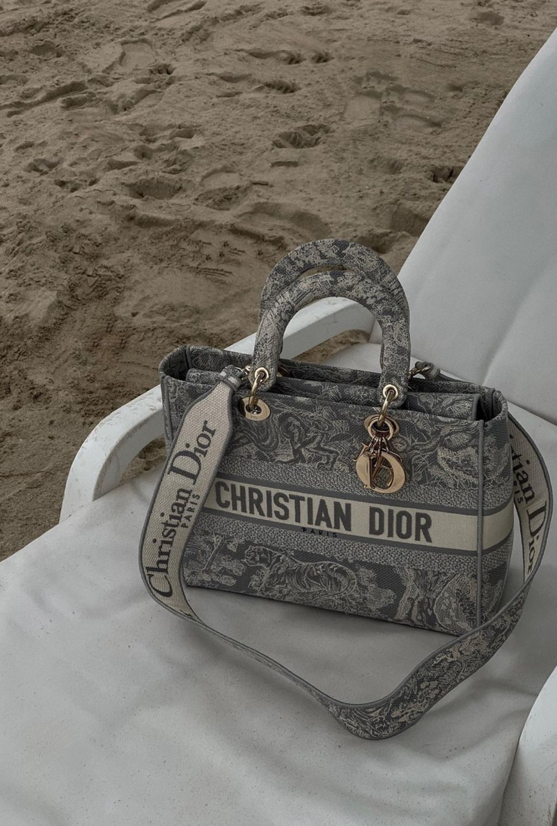 Dior Large Lady D-Lite Bag