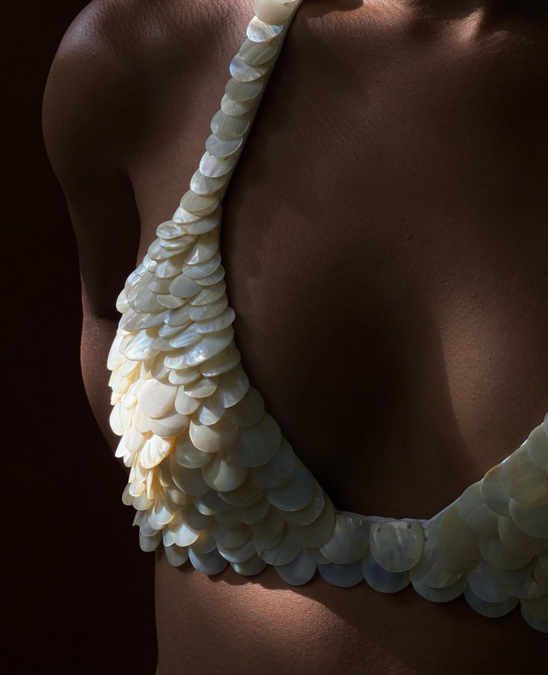 Shell embroidered bra