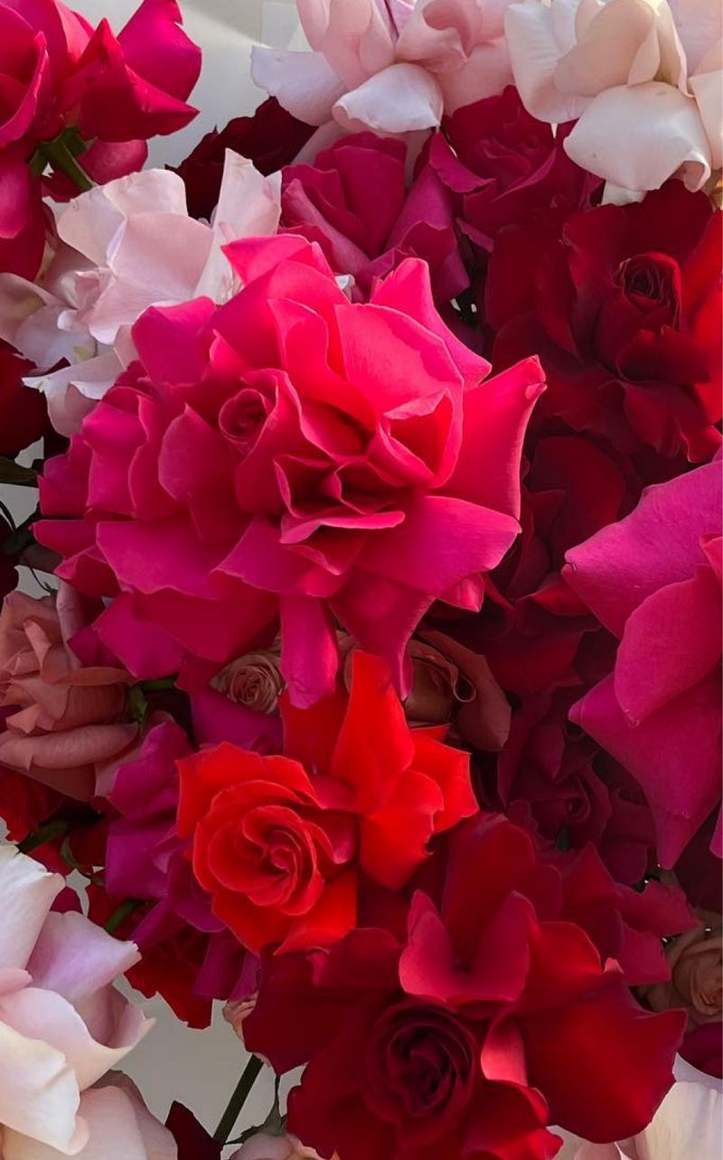 Valentine's Rose Bouquet